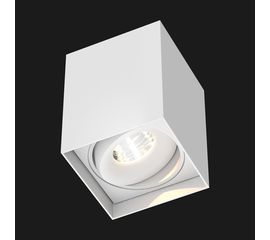 Потолочный светильник Doxis Titan Box Single Surface Mounted, фото 1