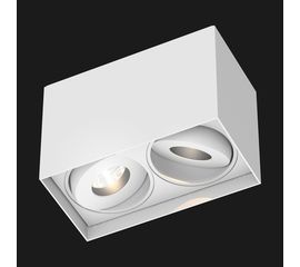 Потолочный светильник Doxis Titan Box Double, фото 1