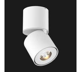 Потолочный светильник Doxis Titan Surface Mounted, фото 1