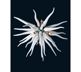 Люстра Arte di Murano 7615, фото 1