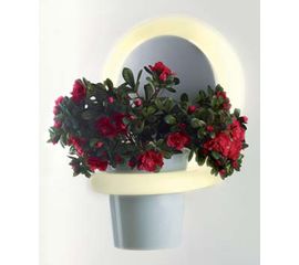 Настенный светильник B-lux Aroa, фото 1