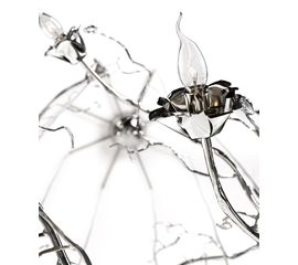 Подвесной светильник Brand van Egmond La Vie en Rose VERHB80, фото 1