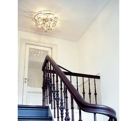 Потолочный светильник Brand van Egmond Delphinium DP60N, DP80N., фото 1