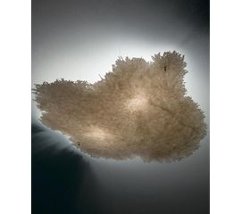 Потолочный светильник Catellani&amp;Smith Postkrisi 0070 S, фото 1