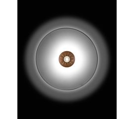 Настенный светильник Die Krauts AUGE 2060, фото 1