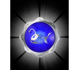 Настенный светильник Die Krauts PISCES 2410, фото 1