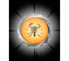 Настенный светильник Die Krauts SCORPIO 2490, фото 1