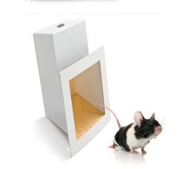 Встраиваемый в стену светильник Facon de Venise FV 10/45°, фото 1