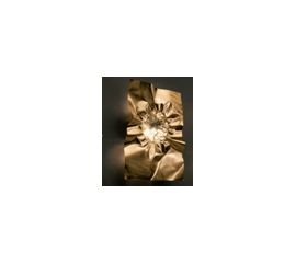 Настенный светильник Minitallux Stropiccio, фото 1