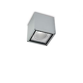 Потолочный светильник Castaldi Lighting BOX D58, фото 1