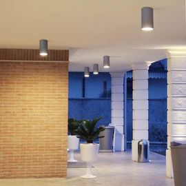 Потолочный светильник Castaldi Lighting DUETTO D20 C/T2, фото 1