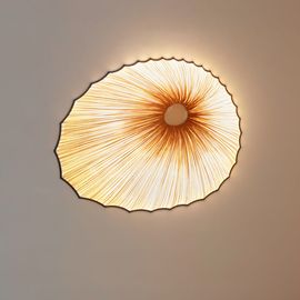 Настенно-потолочный светильник Aqua Creations Sikus Wall &amp; Ceiling Light, фото 1