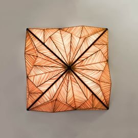 Настенно-потолочный светильник Aqua Creations Zooid 1M Wall &amp; Ceiling Light, фото 1