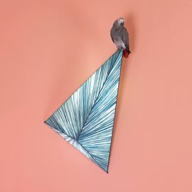 Настенно-потолочный светильник Aqua Creations Zooid Wall &amp; Ceiling Light, фото 1