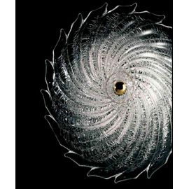 Потолочный светильник Barovier&amp;Toso 5355/30, фото 1