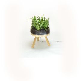 Напольный светильник Brokis PLANTA PC859, фото 1