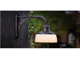 Настенный светильник Robers WL 3635, фото 1