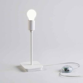 Настольная лампа Linea Light THANK YOU 7723, фото 1