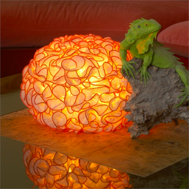 Настольная лампа Aqua Creations Perla, фото 1