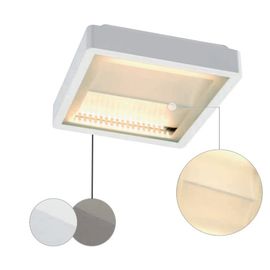 INDIGLA WING, фото 1