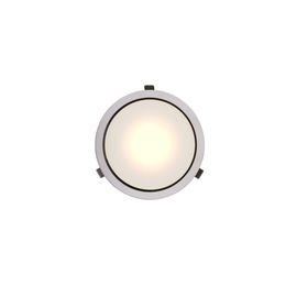 Встраиваемый светодиодный светильник downlight Ферекс ДВО 01-22-50, фото 1