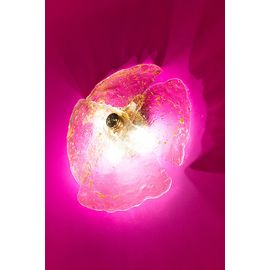 Настенный светильник Beby Italy ORCHID 8060A01, фото 1