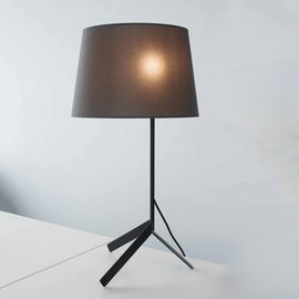 Настольный светильник Molto Luce BIVIO TABLE M, фото 1