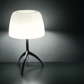 Настольная лампа Foscarini LUMIERE large, фото 1