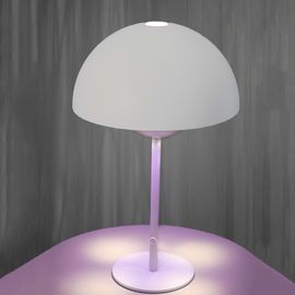 Настольная лампа SIKREA Zaffira/LT, фото 1