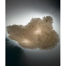 Потолочный светильник Catellani&amp;Smith Postkrisi 0070 S, фото 1