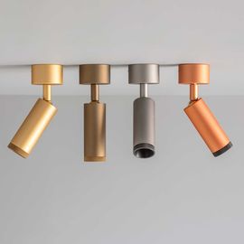 Потолочный светильник OLEV Beam Master pl, фото 1