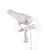 Настенный светильник Seletti Bird Lamp White Looking Right, фото 7