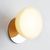 Настенный светильник Roll &amp; Hill Geode Sconce, фото 3