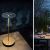 Настольный светильник Catellani &amp; Smith Giulietta BE T, фото 6