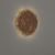 Настенный светильник Arturo Alvarez Icarus IC06P, фото 2