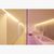 Встраиваемый в стену светильник Delta Light BORDERLINE profile + Ledflex, фото 3