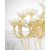 Люстра OR ILLUMINAZIONE 1017 ORO, фото 2