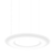 Подвесной светильник Wever &amp; Ducré GIGANT 10.0, фото 2