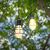 Подвесной светильник ZAVA LADY CAGE outdoor, фото 1