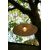 Подвесной светильник ZAVA GISELLE, фото 3