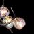 Подвесной светильник Brand van Egmond Ersa 4 globes, фото 7