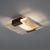 Настенно-потолочный светильник Holly Hunt WALT CEILING MOUNT, фото 1