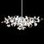 Подвесной светильник Brand van Egmond Kelp chandelier oval, фото 1