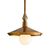 Подвесной светильник Arteriors home Worley Pendant, фото 1