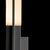Настенный уличный светильник Hubbardton Forge Centre Outdoor Sconce, фото 2