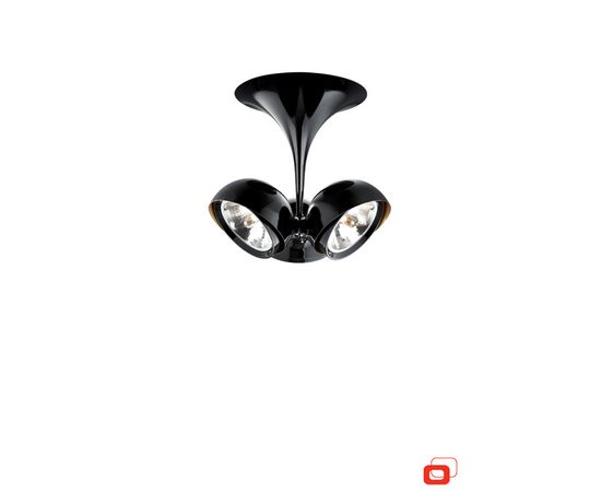 Потолочный светильник Lirio Pallo 5707330LI, фото 1