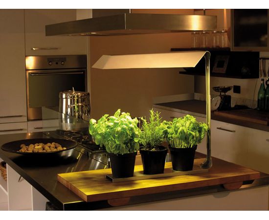 Настольный светильник Knikerboker Coltiva, фото 2