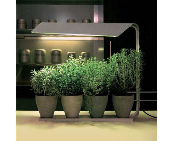 Настольный светильник Knikerboker Coltiva, фото 1