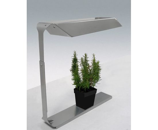 Настольный светильник Knikerboker Coltiva, фото 3