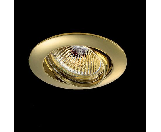 Встраиваемый в потолок светильник Novotech 369102, фото 1